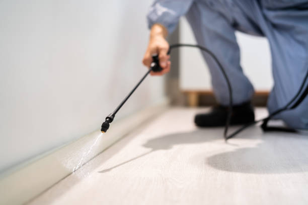 Certified termite inspector examining foundation in Wahpeton