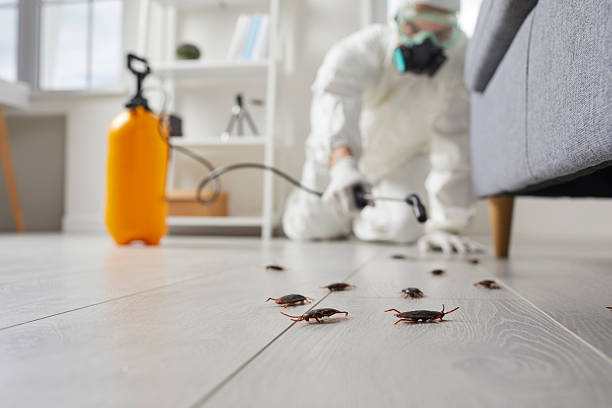 Post-Treatment Bed Bug Interceptor Monitoring in Wahpeton